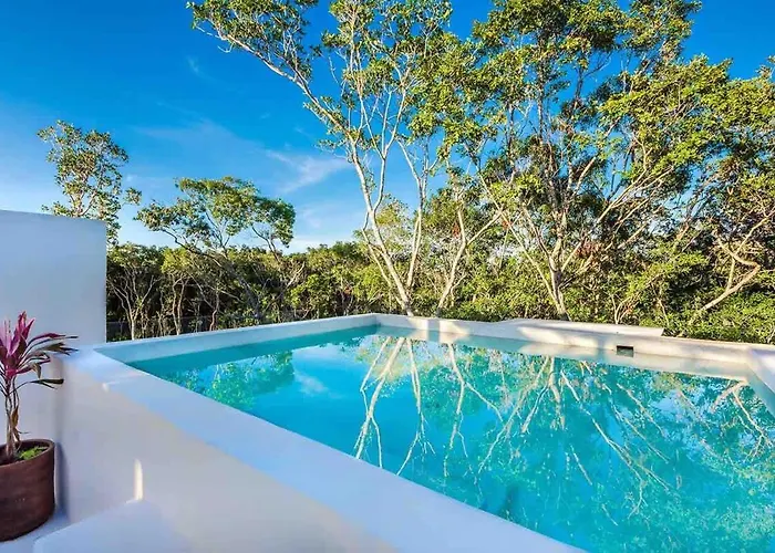 Designer Luxury With Private Pool Oasis Holiday home